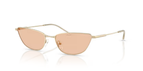 Picture of EMPORIO ARMANI EA2174B